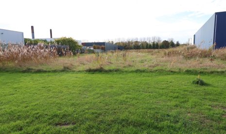 Hoofdfoto van Swifterbant De Kolk 91