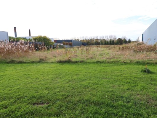 Hoofdfoto van Swifterbant De Kolk 91