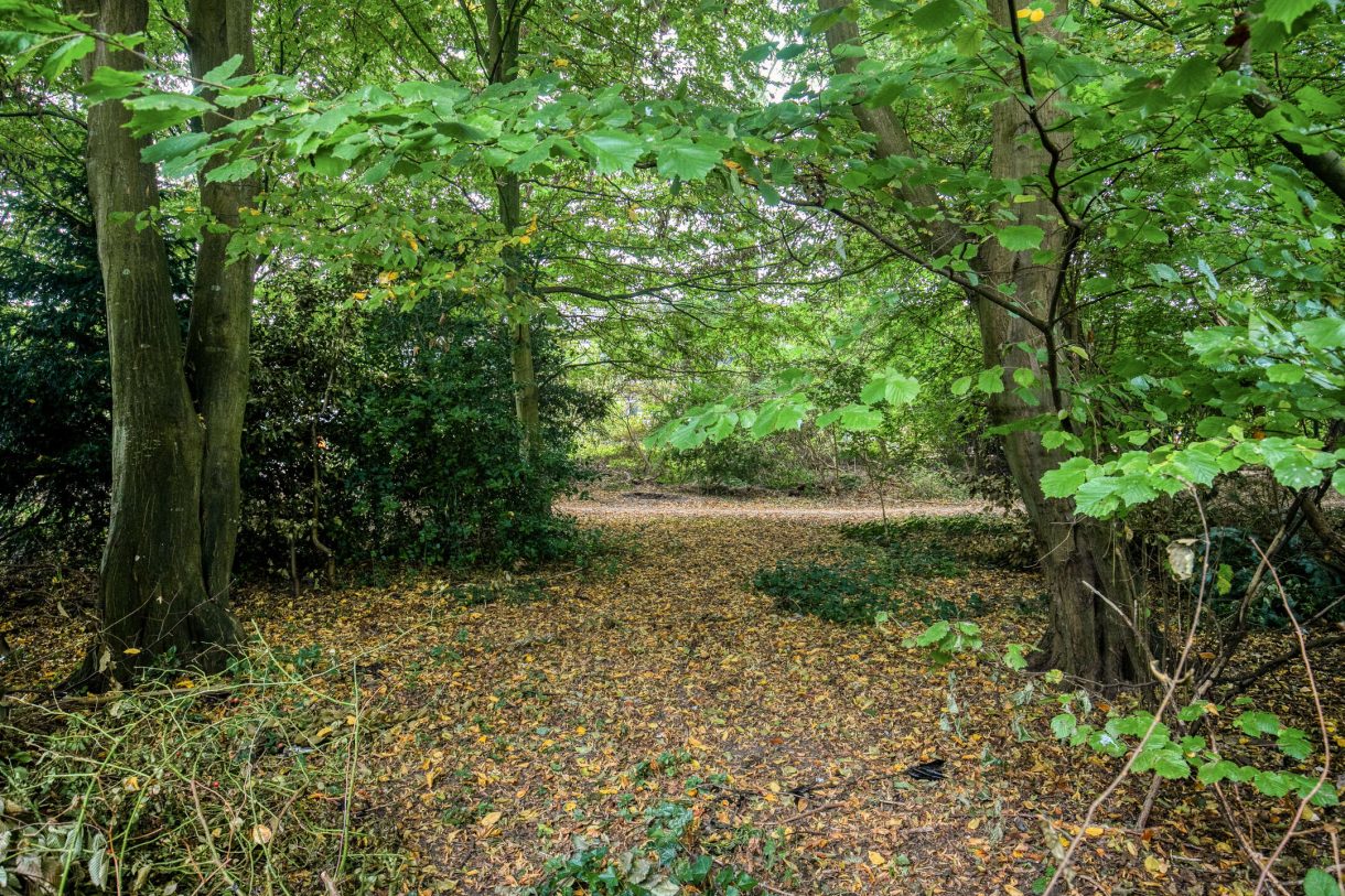 Te koop: Foto Woonhuis aan de De Morinel 402 in Dronten